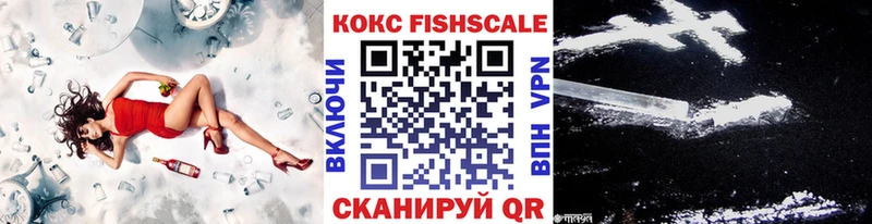 Кокаин Fish Scale  Купить закладки  Ковылкино 