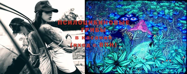 дмт Гусь-Хрустальный