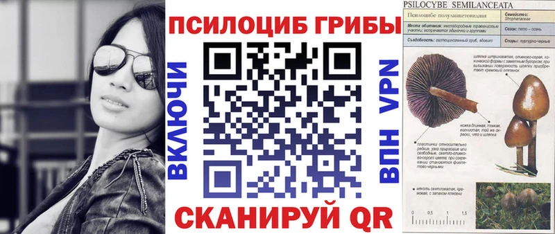 Галлюциногенные грибы Psilocybine cubensis Купить где Ковылкино